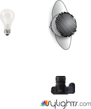 ejfhsrudi by Guest User