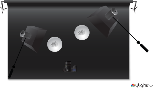 footwear by Guest User