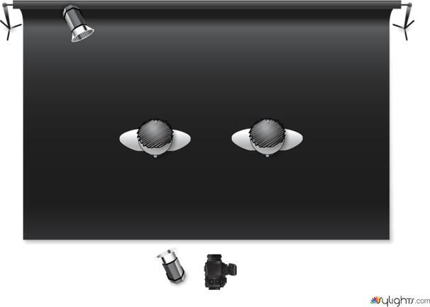 DINGODILE by Guest User