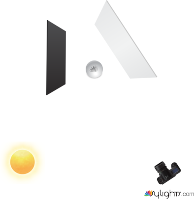 Perfume L Diagram by Guest User