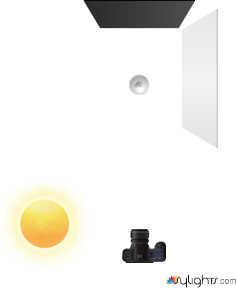 Watch L Diagram by Guest User