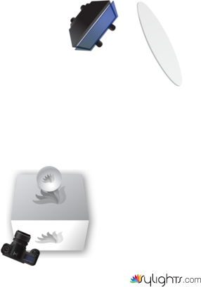 Replication #2 by Guest User