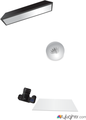 replication two proposal by Guest User