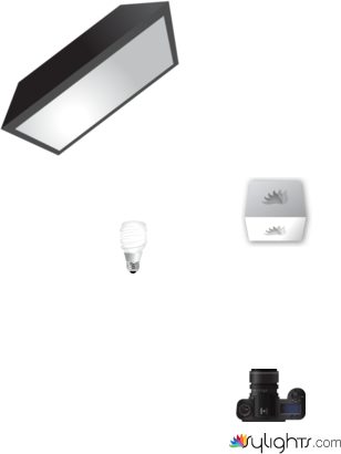 replication #2 plan  by Guest User