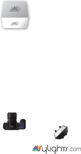 replication #2 by Guest User