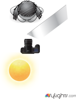 hdhfhsgf by Guest User