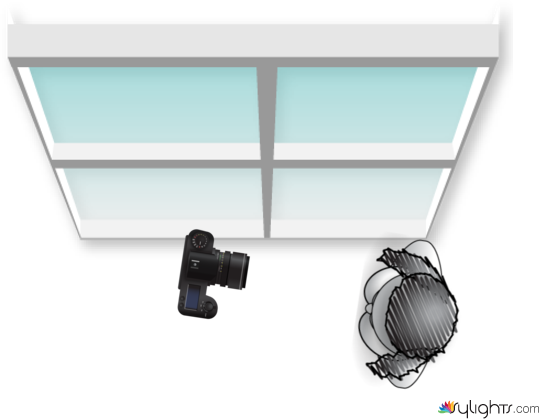 PLANTAA by Guest User