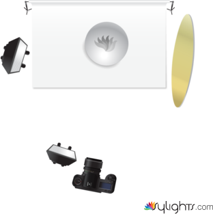 Replication #2 by Guest User