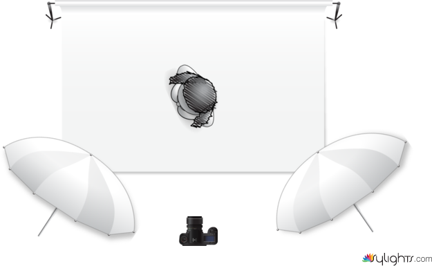 Portfolio 2 by Guest User