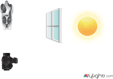 Escena 1 Vorágine by Guest User