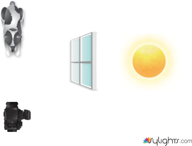 Escena 1 Vorágine by Guest User