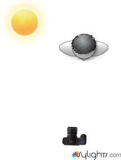 cor[or by Guest User