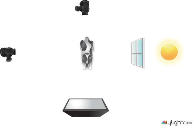 Escena 1 Vorágine by Guest User