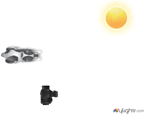 Escena 1 Vorágine by Guest User