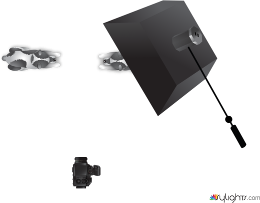 Escena 1 Vorágine by Guest User