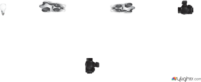 Escena 1 Vorágine by Guest User