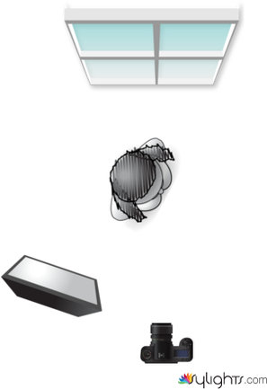 Image 4 by Guest User