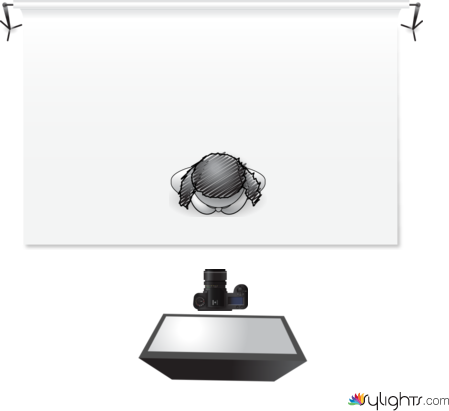 butterfly by Guest User