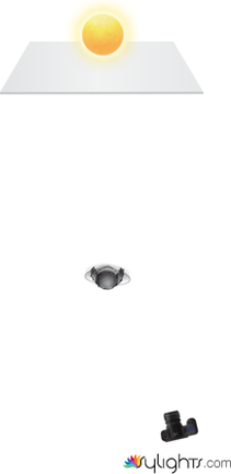 en la espesura by Guest User