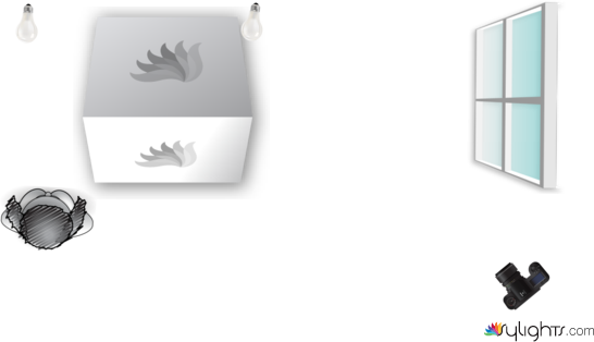 fdfghuio by Guest User