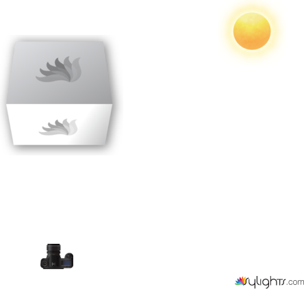 image 2 by Guest User