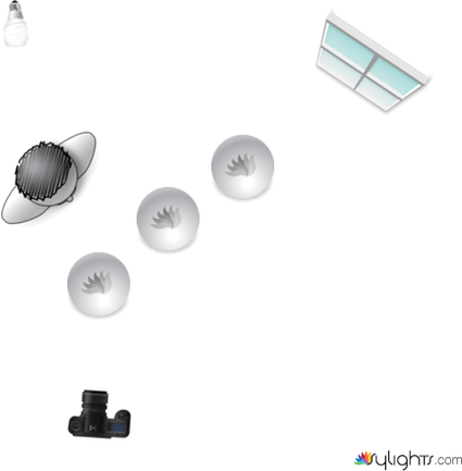 Image 10 by Guest User