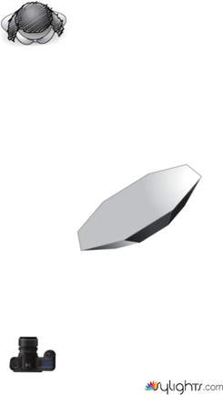 2nd portrait setup by Guest User