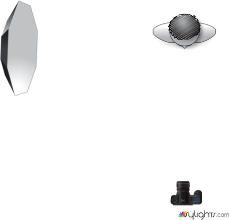 environmental 2 by Guest User