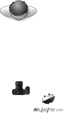 environmental 1 by Guest User