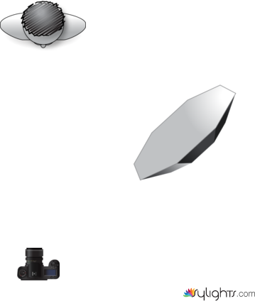 mark campaign lighting by Guest User