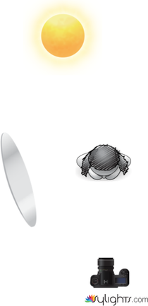 Location 2 by Guest User