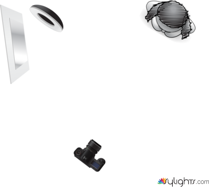 planta  by Guest User