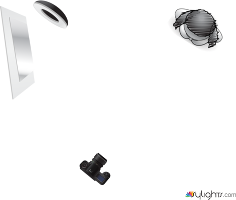 planta  by Guest User