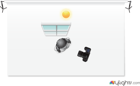 elespejoplanta by Guest User