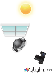 elespejoplanta by Guest User