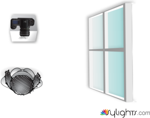 planta de luces retrato  by Guest User