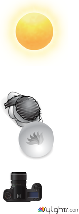 hbfgodgfozdhfb by Guest User