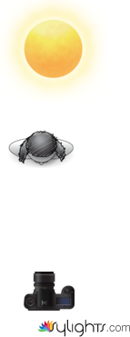 kjhgfghj by Guest User