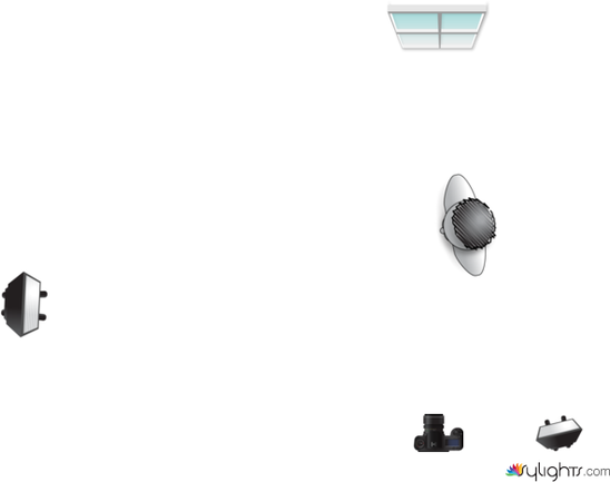 portrait 2 by Guest User