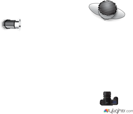 Rembrandt by Guest User