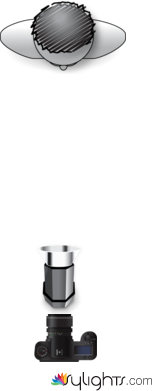 Butterfly by Guest User