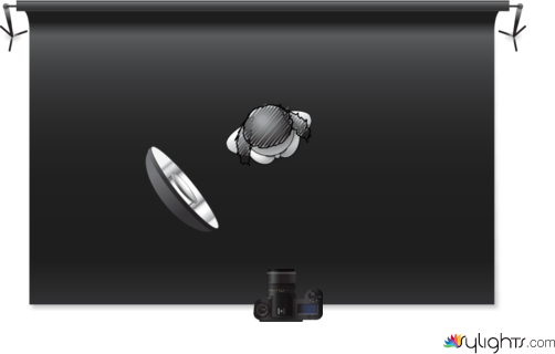 rembrandt lighting diagram by Guest User