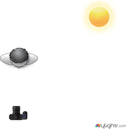 David Natural Lighting by Guest User