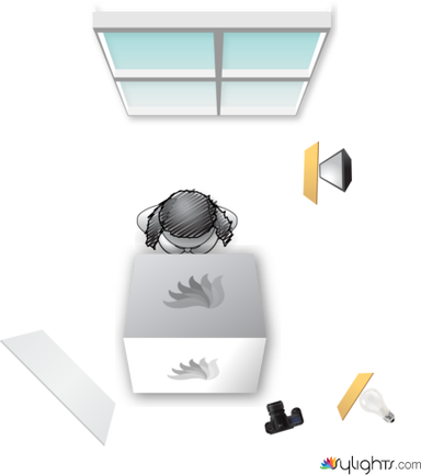 1 . Gula by Guest User