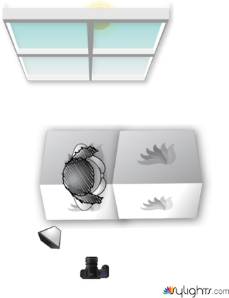 2. pereza by Guest User