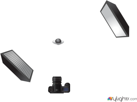 Macro 1 by Guest User