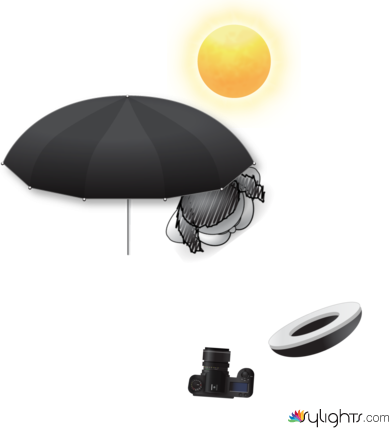 Angle 3 by Guest User