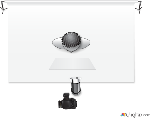 butterfly by Guest User