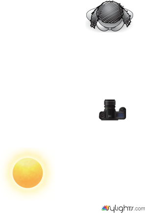 High Key Natural Lighting by Guest User