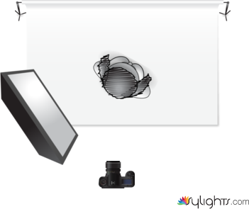 rep #3 by Guest User